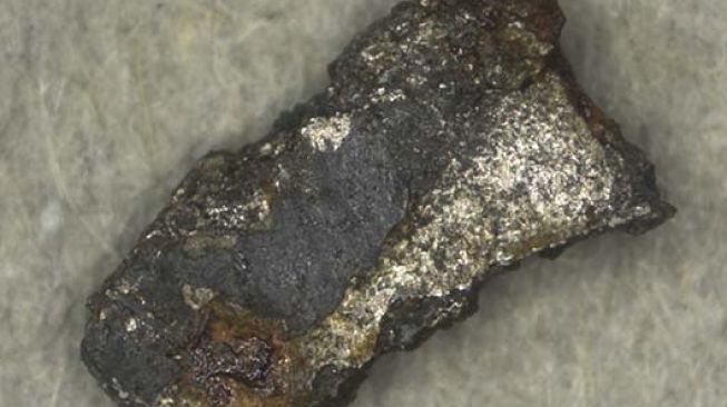 Penemuan meteorit di Swedia. [Swedish Museum of Natural History]