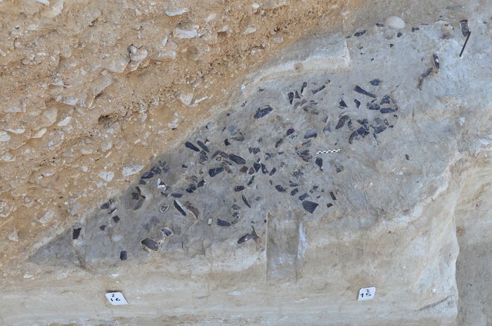 Penemuan alat potong ditemukan pada awal Paleolitikum Atas.