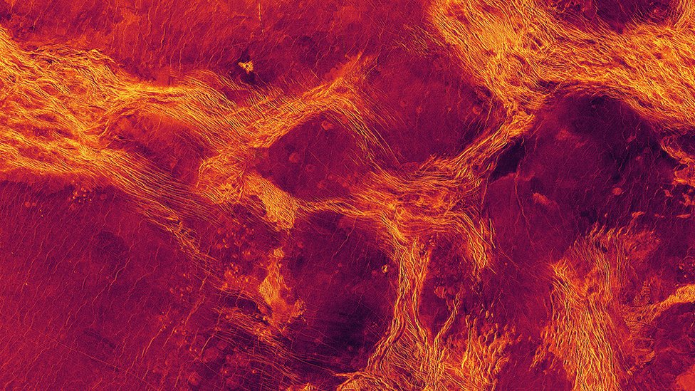 Pandangan radar Lavinia Planetia di Venus, di mana batuan planet ini dipecah menjadi lapisan luar (ungu) dan ditentukan oleh sabuk (kuning) struktur tektonik