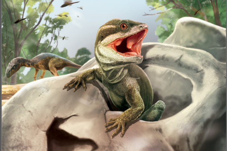 Deskripsi habitatnya oleh Taitalura alkoperi.  Penemuan fosil nenek moyang reptil modern di Argentina.