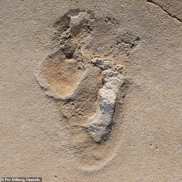 Para ahli mengidentifikasi jejak kaki manusia prasejarah di Kreta