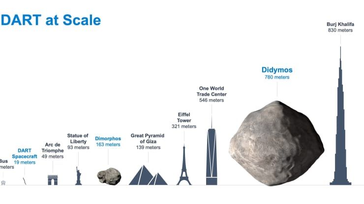Diagram yang menunjukkan ukuran dua asteroid dalam sistem Didimus relatif terhadap objek tertentu di Bumi.  (NASA / John Hopkins APL)