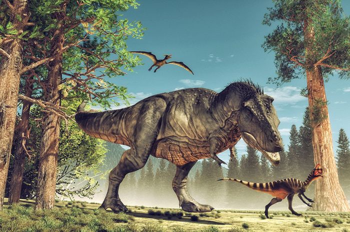 Tyrannosaurus adalah nama genus dan T. rex adalah nama spesies di Delhi.  Postingan terbaru Makalah tentang spesies rempah-rempah Anda dalam daftar Perjanjian Baru.