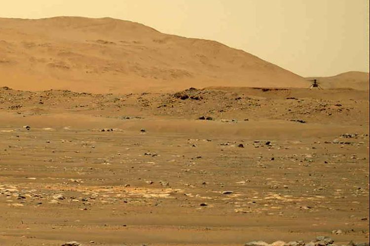 Helikopter kecerdikan NASA terbang di atas Mars.  Gambar ini, diambil oleh Mars Rover Perseverance Innovation, terbang di atas permukaan planet pada hari Jumat, 30 April 2021.  Intelijen menerbangkan pesawat keempatnya sejauh 266 meter pada Jumat (7/5/2021) sore.  Tinggi 5 meter selama lebih dari dua menit.  Penerbangan ini akan lebih lama dan lebih lama dari sebelumnya.