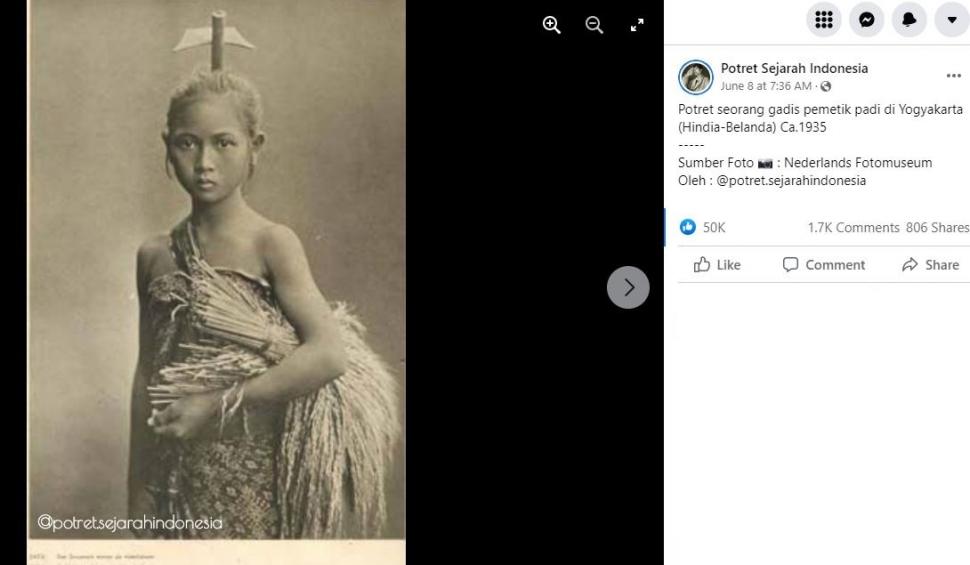 Foto seorang wanita memetik padi di tahun 1930-an.  (Photomuseum Belanda via Facebook potret sejarah Indonesia)