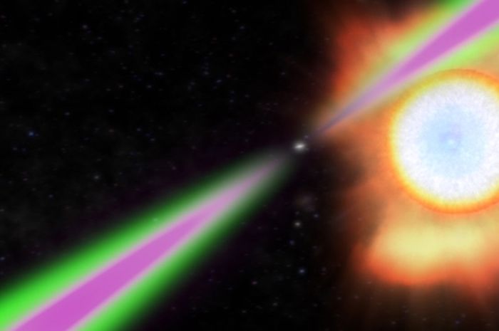 Bintang neutron yang berputar secara berkala memancarkan sinar radio (hijau) dan sinar gamma (magenta) saat melewati Bumi dalam ilustrasi pulsar janda hitam ini.  Bintang neutron/pulsar memanaskan sisi (kanan) pasangan bintangnya, yang dua kali lebih panas dari permukaan Matahari dan perlahan-lahan menguap.