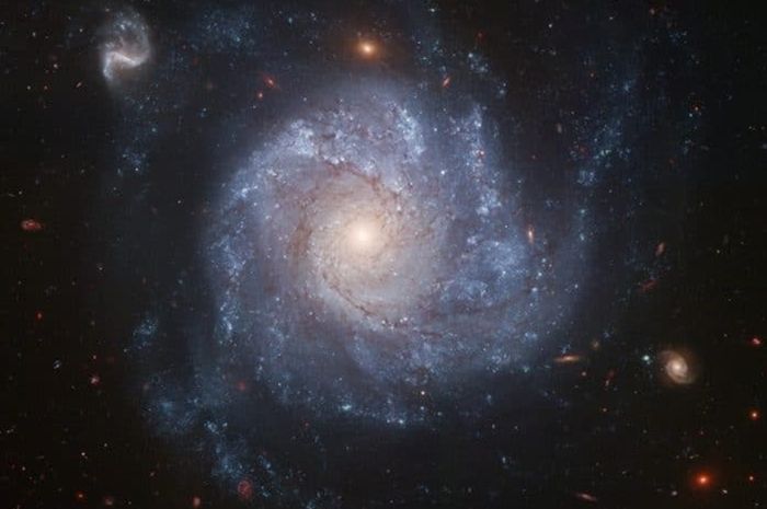 Dikatalogkan sebagai NGC 1309, galaksi spiral dramatis ini ditangkap oleh Teleskop Luar Angkasa Hubble.
