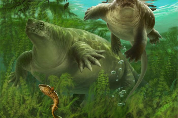 Kesan seniman tentang Lalieudorhynchus gandi dan temnospondyl tupilacosaurid akuatik (kiri bawah).