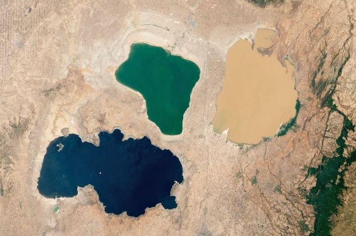 Citra satelit yang baru-baru ini dirilis oleh NASA menunjukkan tiga danau terdekat di Ethiopia, masing-masing memiliki warna berbeda.  Apa yang menyebabkan perbedaan warna?