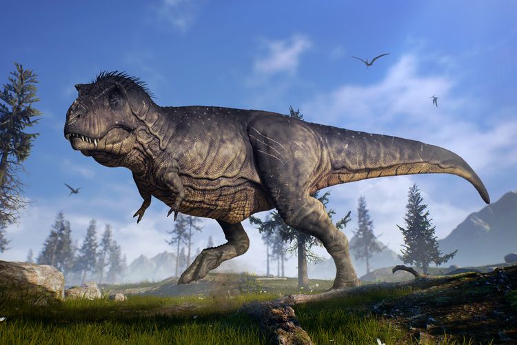 Deskripsi Dinosaurus T-Rex.  Untuk pertama kalinya, para peneliti menghitung populasi Tyrannosaurus rex (T.rex).  Studi telah mengungkapkan bahwa sebelum kepunahan massal, ada 2,5 miliar T-Rex di bumi ini.